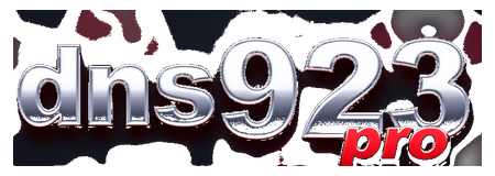 dns923pro logo
